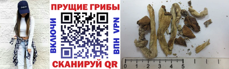 Галлюциногенные грибы прущие грибы  Купить  Зеленоградск 